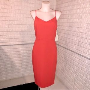 NWT! 1-State Choral Fitted Dress